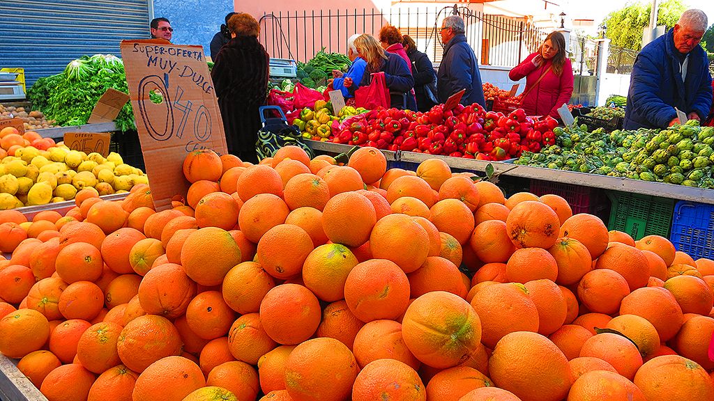 uvazhitelnye-prichiny-dlya-vstrechi-novogo-goda-i-provedeniya-zimnih-kanikulna-mar-menor-v-ispanii-10